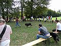 img 130